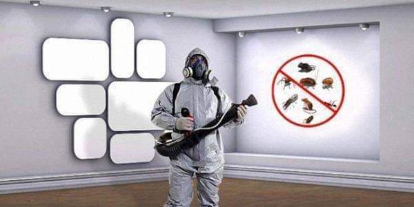 خدمات مكافحة حشرات